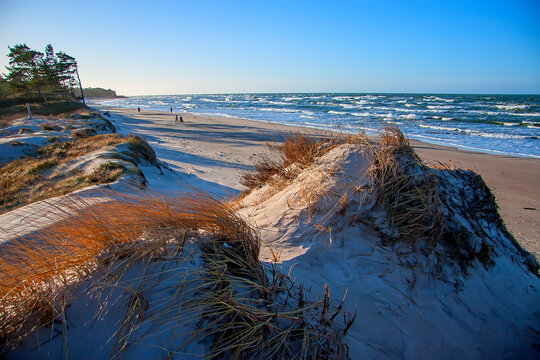 Baltic Sea coast. Bernati