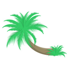 Obraz premium Ilustracja wektorowa palmy