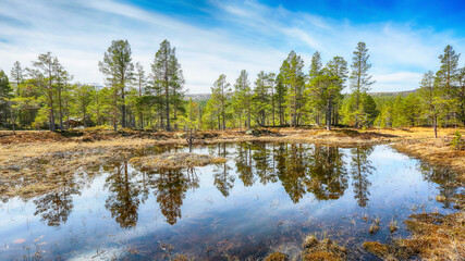 Fototapeta na wymiar Swamp in the mountains in Innerdalen, Norway