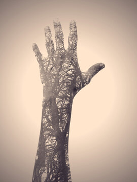 Tree hand