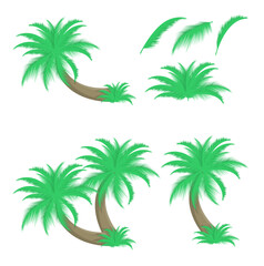 Fototapeta na wymiar Set of palm trees and leafs