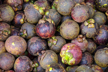Fresh Fruit Market. Mangosteen background