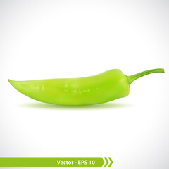 Realistic Illustration of a Green Pepper