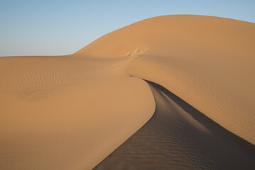 Fototapeta na wymiar sand dunes in the desert 