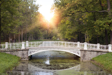 the bridge over the channel overgrown with a duckweed. Catherine Park. Pushkin (Tsarskoye Selo)....