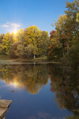 The bright autumn wood is reflected in the lake