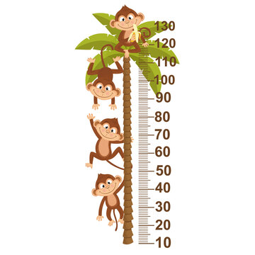 growth measure with monkey on palm  - vector illustration, eps
