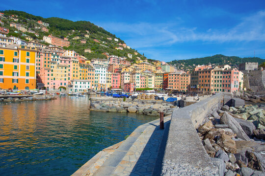 Panoramic view of city of Camogli , Genoa Province, Liguria, Mediterranean coast, Italy