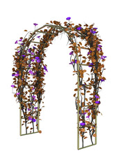 3D Rendering Garden Arbor on White