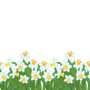 Postcard of green grass with small blue narcissus flowers isolated on white. Vector illustration