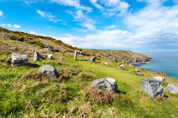 Fototapeta premium Trevalgan Stone Circle between St Ives and Zennor, Cornwall with Pen Enys Point beyond. The circle is also known as the Merry Harvesters.