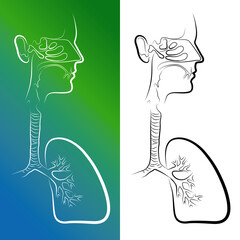 Sketch of Respiratory System Organs. Vector Illustration