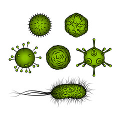 Influenza viruses and E coli Bacteria. Vector illustration