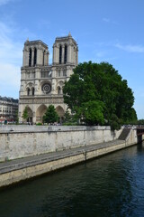 Fototapeta na wymiar Paris - Cathedral of Notre-Dame 