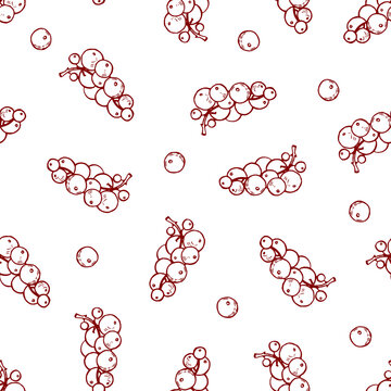 Nice seamless pattern made of hand drawn currant.