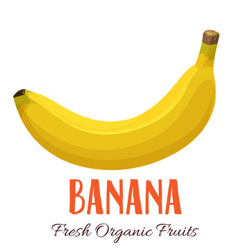 Vector banana illustration