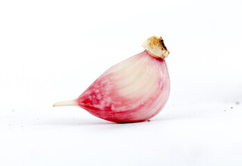 fresh planted young garlic clove