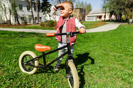 Small boy with balane bike