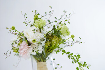 flowers on white background