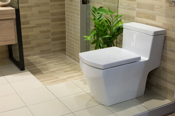 Toilet in Bathroom