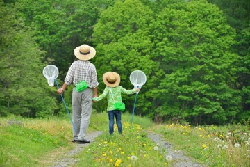 森の小道・高原で遊ぶファミリー