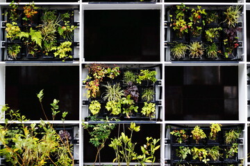 植物とタイルと