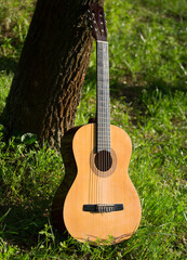The guitar on the nature