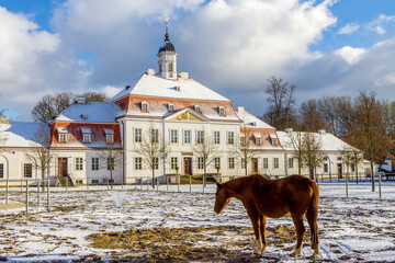 Brandenburgisches Haupt- und Landgest&uuml;t Neustadt Dosse 