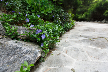 Landscape design detail, summer garden path closeup