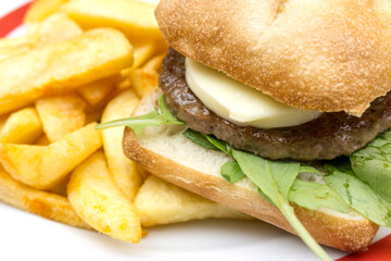 Cheese burger - American cheese burger with Golden French fries