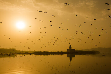 Morning over Yamuna river