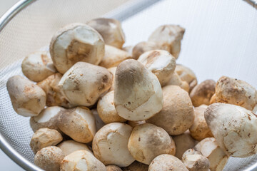 Mushrooms
