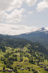 Naklejka na ściany i meble Grindelwald, Dorf, Bergdorf, Kleine Scheidegg, Lauberhorn, Alpen, Schweizer Berge, Berner Oberland, Eiger, Frühling, Sommer, Schweiz