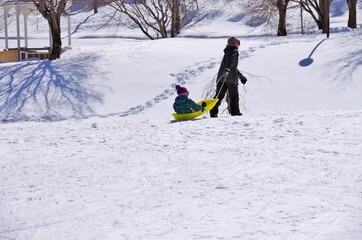 公園でそり遊びをする親子