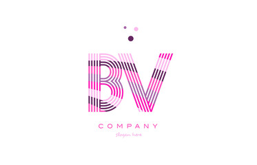 bv b v alphabet letter logo pink purple line icon template vector