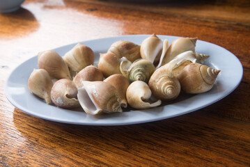 Steamed dog conch, seafood