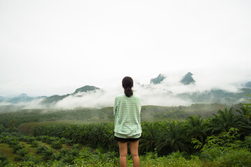 Fototapeta premium Lonely girl standing on the view point see tree forest and fog on the mountain background