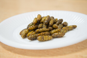 Deep fried silkworms