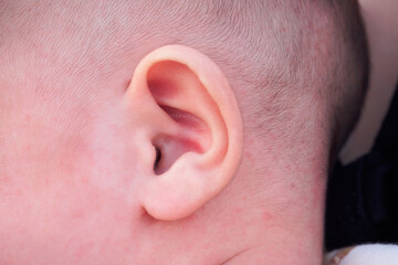 newborn baby ear close up