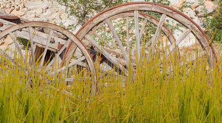 roues en bois et vieux chariot parmi les herbes