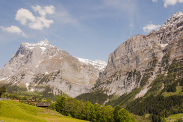 Grindelwald, Dorf, Berner Oberland, Alpen, Wetterhorn, Schreckhorn, Grosse Scheidegg, Wanderweg, First, Frühling, Sommer, Schweiz