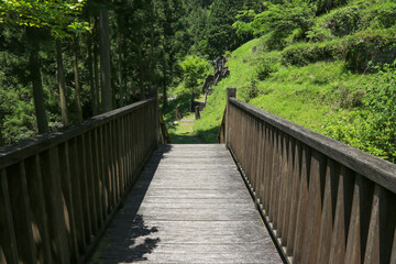 Fototapeta na wymiar 徳島県つるぎ町　土々呂の滝　遊歩道