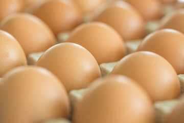 Selective focused on eggs tray