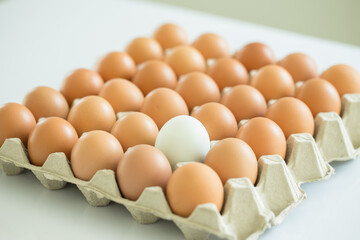 Eggs tray selective on white egg