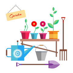 Flowers and a seedling in a pot are on the bench.