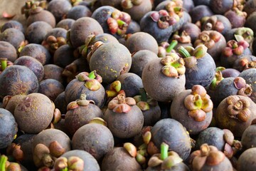 mangosteen background