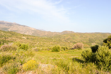 Fototapeta na wymiar View of the green countryside