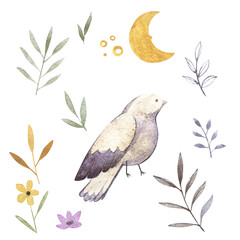 Watercolor illustrations of bird, branch, moon, flowers and floral. Isolated on white background. Perfect for greeting cards or invitations