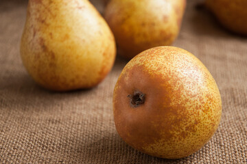 Juicy ripe pear close-up, against the background of burlap, sacking