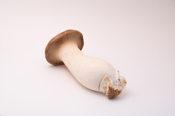 大きなエリンギ